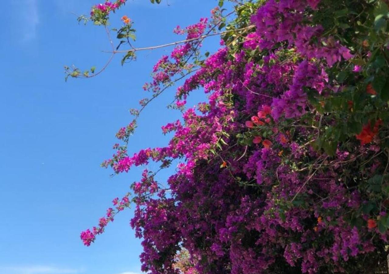 פראייה דו רוזה Pousada Halliny Do Rosa מראה חיצוני תמונה